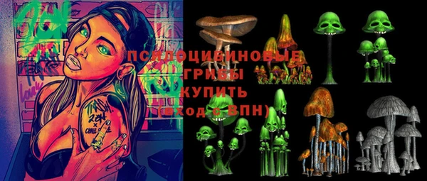 дурь Арсеньев