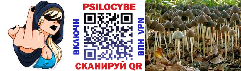 Галлюциногенные грибы мицелий  как найти   Коломна 