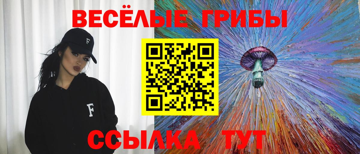 Галлюциногенные грибы Psilocybe Коломна